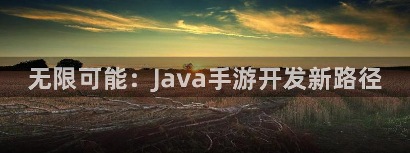 28大神在线预测：无限可能：Java手游开发新路径