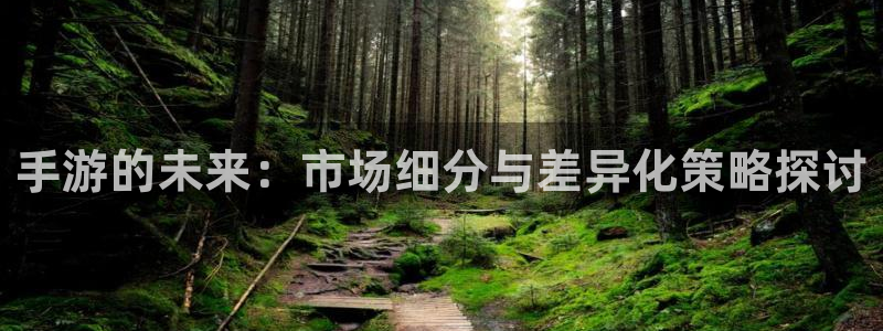 28大神新版：手游的未来：市场细分与差异化策略探讨